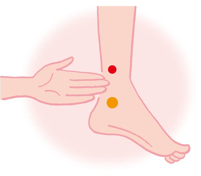  内くるぶしの上、指幅4本分の場所にある冷え対策の代表的なツボ。血流を促し、下半身の冷えやむくみ対策に役立つといわれています。朝、靴下を履く前に手で包むようにゆっくり押すのがベスト。