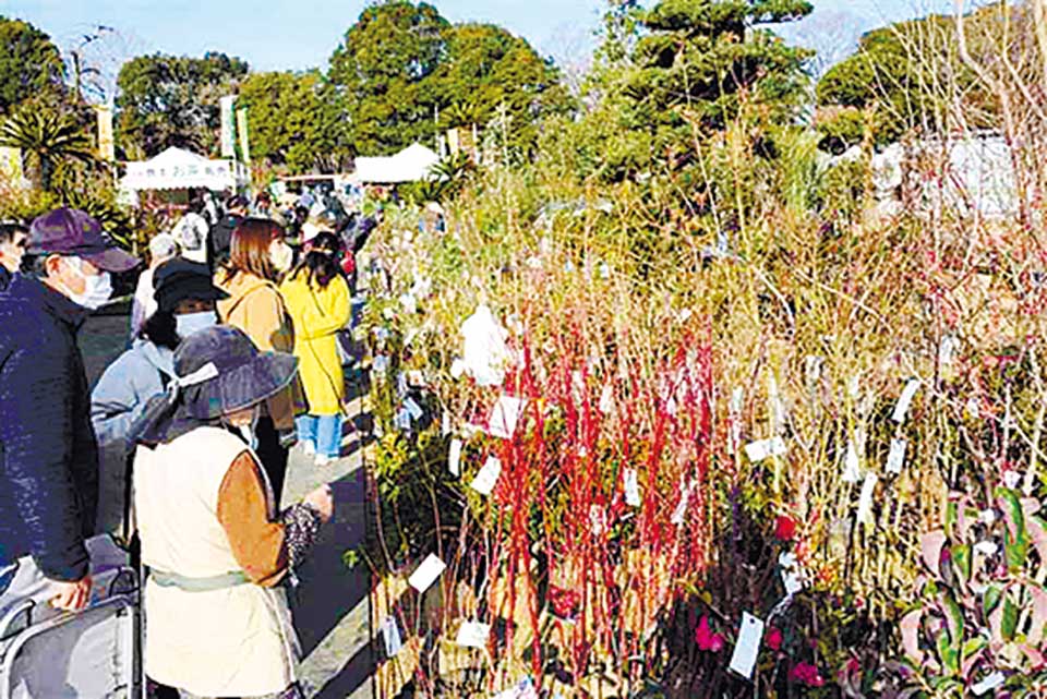 第50回JA植木まつり