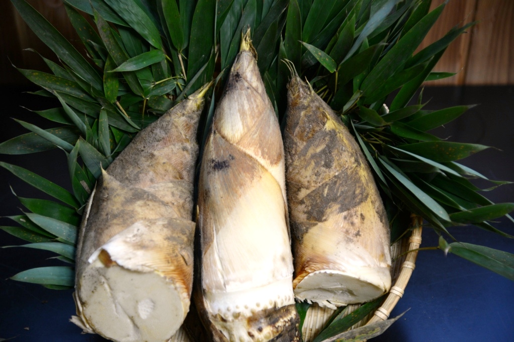 自社の山で採れた掘り立てのタケノコを料理やゆがきタケノコとして提供