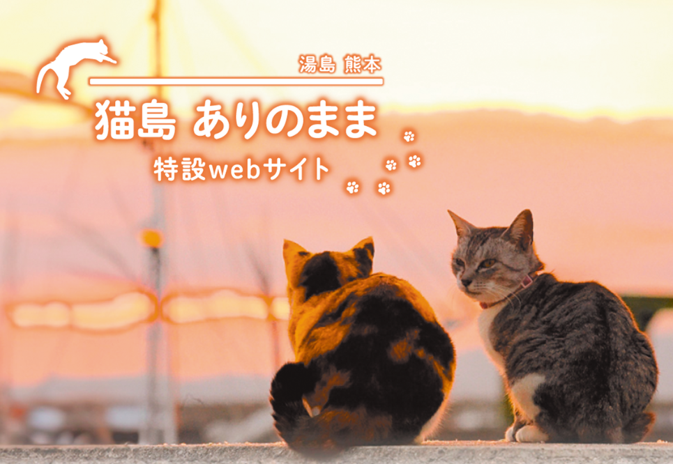 猫島ありのまま