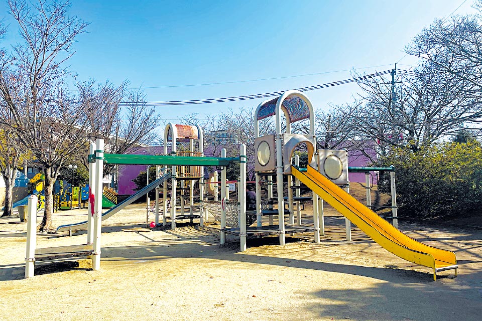 平成中央公園の遊具