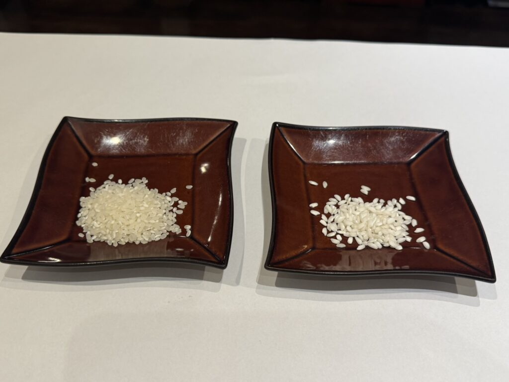 イタリアの米と日本の米