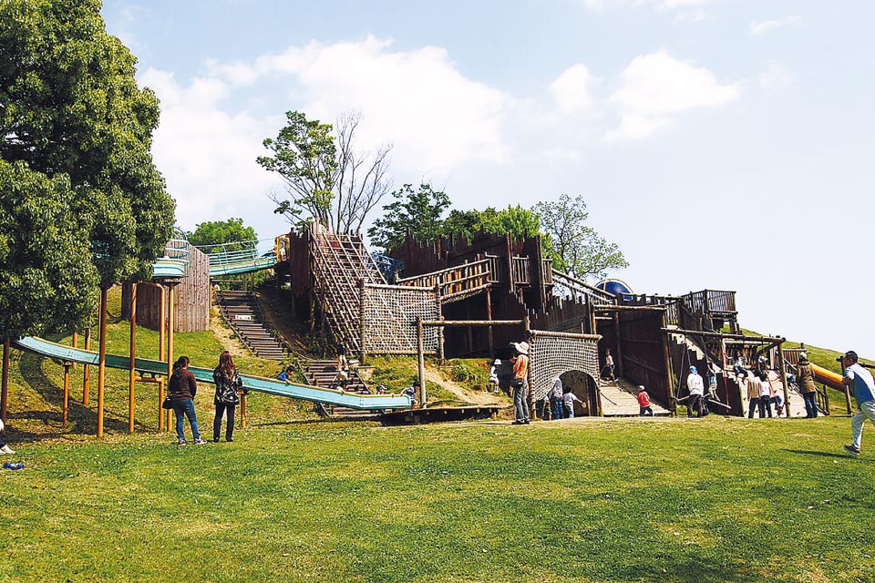 ［山鹿市］あんずの丘