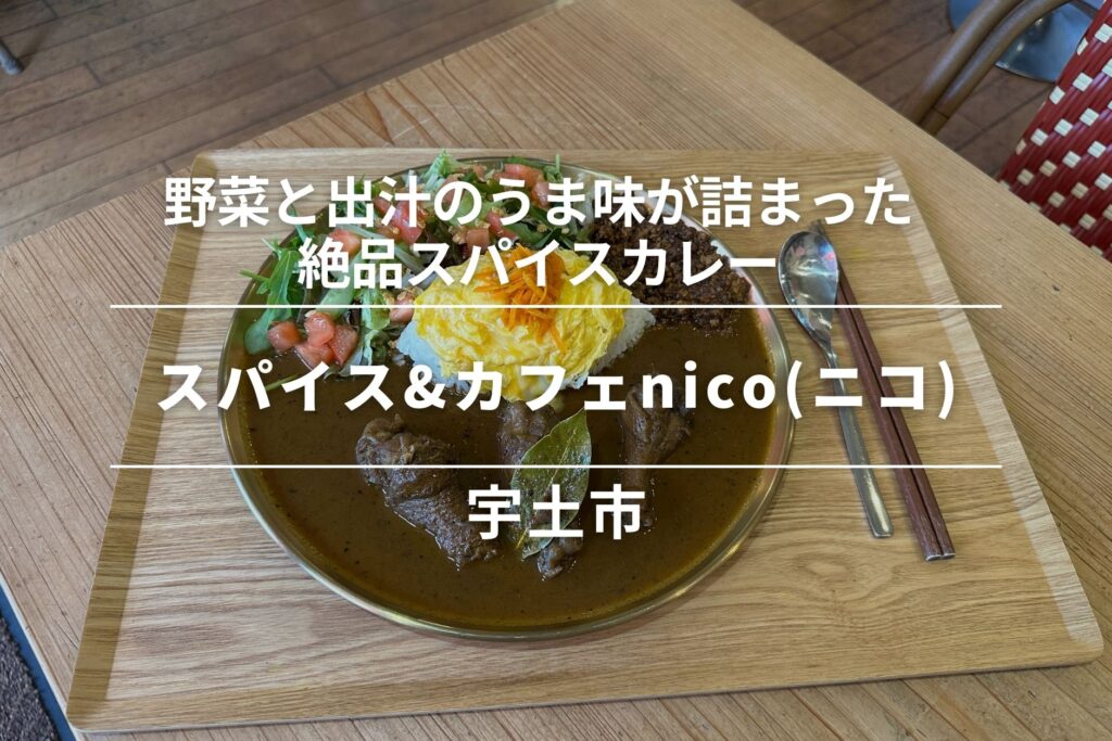 スパイス&カフェnico(ニコ)・宇土｜野菜と出汁のうま味が詰まった絶品スパイスカレー